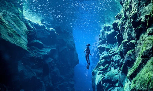 Video: Bí ẩn gây sốc dưới đáy đại dương chưa từng được tiết lộ