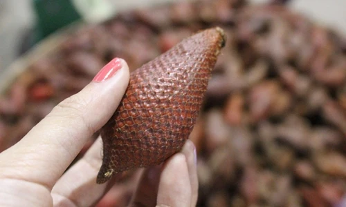 Sự thật kinh ngạc về quả mây Thái nhiều người mê