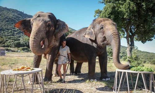 Soi dàn thú cưng “chất phát ngất” của gia đình hoàng tộc