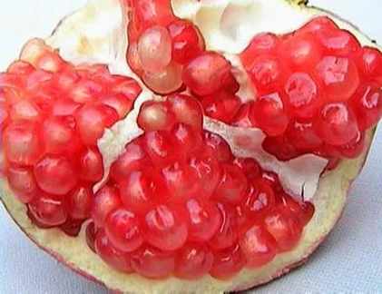 Giải mã cơ chế sinh tố lựu giúp ngừa ung thư