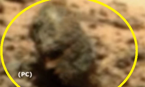 Phát hiện vật thể lạ giống đầu chiến binh trên sao Hỏa