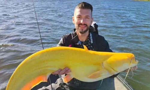 Đi câu, bất ngờ tóm được "quái vật" khổng lồ vàng như vỏ chuối 