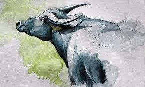 Sang tháng 5/2023: Top con giáp như Rồng cưỡi mây, lộc rơi đầy túi