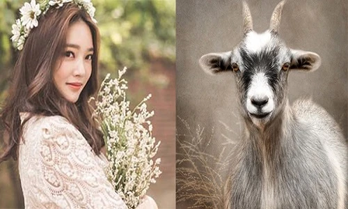 Cuối tháng 4/2023: Bốn con giáp tài lộc đổ như mưa, hoan hỷ đón nhận 