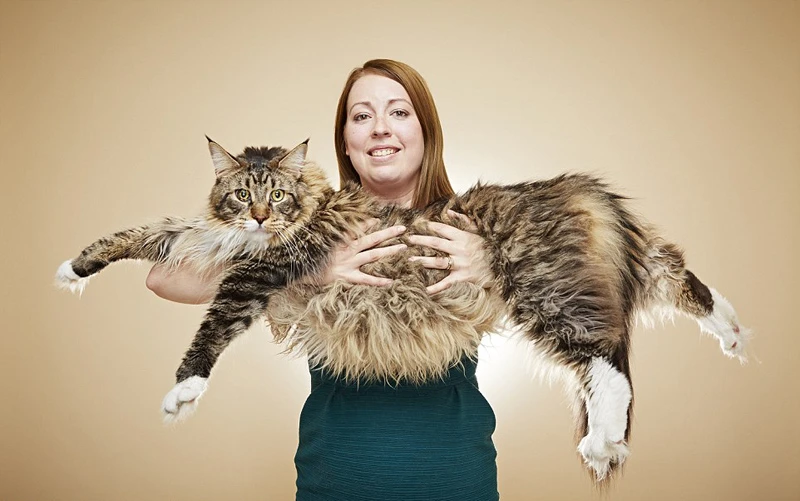 Những kỷ lục Guinness kỳ quặc nhất hành tinh 