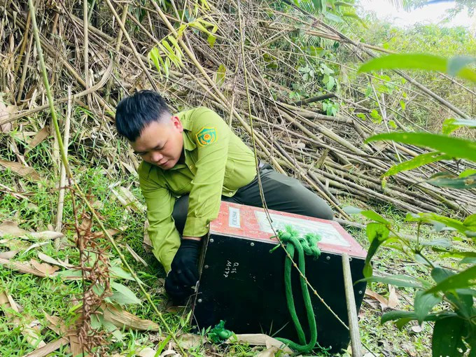 Lực lượng chức năng tiến hành thả 58 cá thể... z6816070465807-ab125c9ff16698b9d87bc7e8772b6e95-3983-5641.jpg