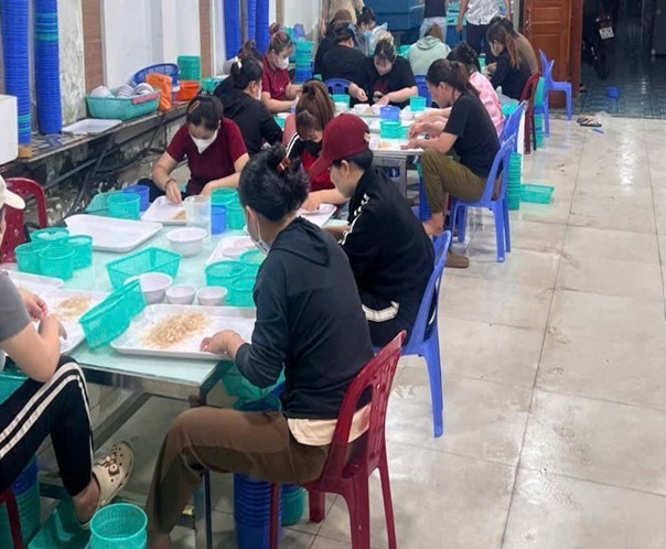 Nhân công đang kiểm đếm, phân loại tôm hùm giống không rõ nguồn gốc, xuất xứ. tomhum-baccr.jpg