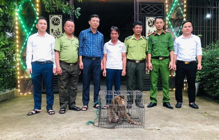 Gia đình ông Trương Quang Vinh bàn giao cá thể khỉ đuôi lợn cho cơ quan chức năng. 68afa2e6a809c.jpg