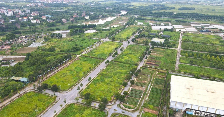 Ảnh minh hoạ. ky-luc-dau-gia-dat-moi-tai-hung-yen-1-1755145959.jpg