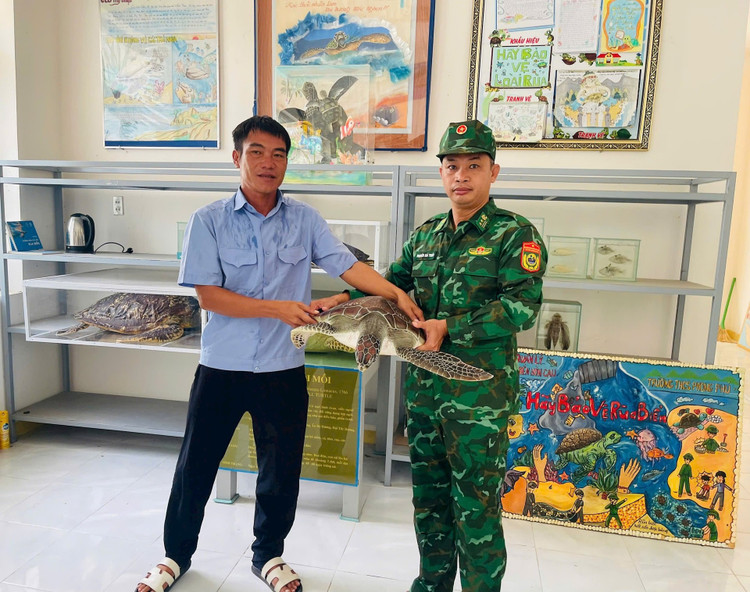 Cá thể rùa biển quý hiếm nặng 12 kg. z6898138548520-690197c6a90643900468edd3e86e74cb.jpg