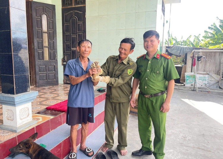 Cá thể cu li quý hiếm được người dân giao nộp. picture1.jpg
