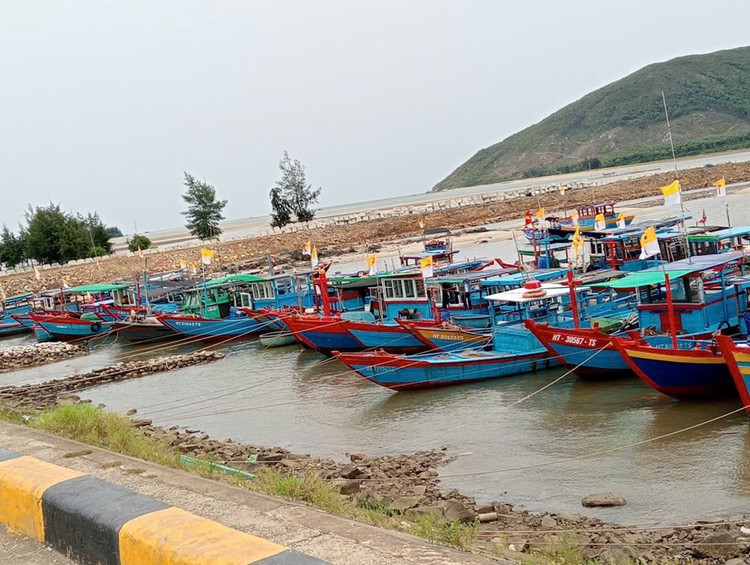 Hơn 600 tàu thuyền đã vào tránh trú bão số 3. bao-2-dovv.jpg