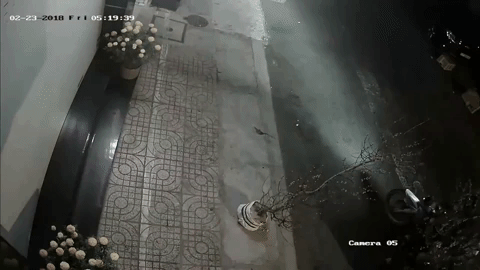 Và sau đó cả 3 bỏ đi nhanh chóng.