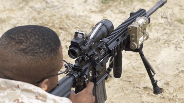 Súng trường tấn công HK416 cũng được quân đội Pháp lựa chọn và đặt định danh là HK416F.