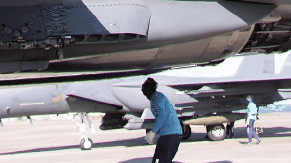 Trong khi Boeing khẳng định rằng máy bay chiến đấu này sẽ dễ chế tạo hơn và triển khai nhanh hơn, có khả năng cạnh tranh với số lượng F-35 Lightning II của Lockheed Martin đang hoạt động, thì F-15EX có thể không phải là món hời mà không quân mong đợi.