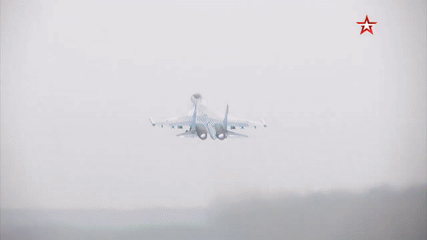 Một số chuyên gia quân sự cho rằng tốc độ và khả năng mang nhiều vũ khí của Su-35S vẫn cho phép nó tung đòn đánh từ ngoài tầm nhìn, trong khi hệ thống tác chiến điện tử tối tân và khả năng cơ động mạnh cũng giúp máy bay né tránh tên lửa đối phương tốt hơn.