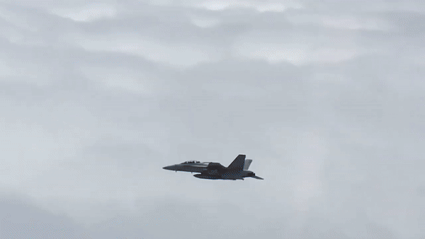 F/A-18E/F Super Hornet thực chất là một phiên bản có kích thước lớn và hiện đại hơn được phát triển từ F/A-18C/D Hornet.