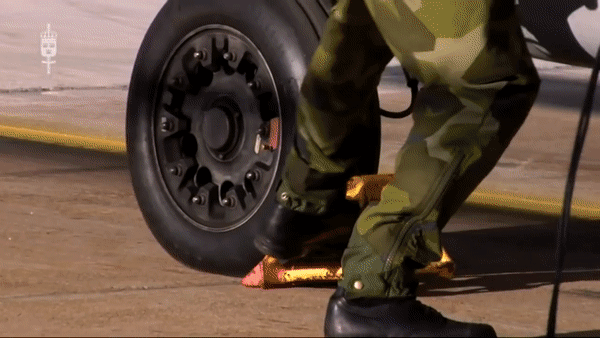 Thái Lan đã chọn tiêm kích đa năng Gripen-E/F do Thụy Điển sản xuất làm máy bay chiến đấu tiếp theo của không quân nước này.