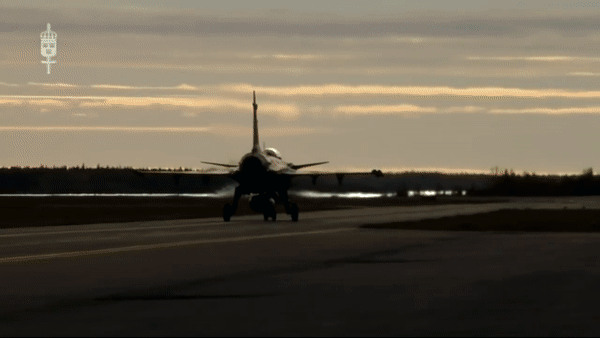 Máy bay cũng có hệ thống tìm kiếm và theo dõi hồng ngoại [IRST], cho phép phát hiện thụ động các mối đe dọa trên không.