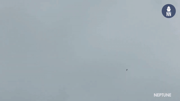 Tên lửa diệt hạm Neptune được trang bị đầu đạn nổ mảnh khá uy lực có trọng lượng 145 kg.