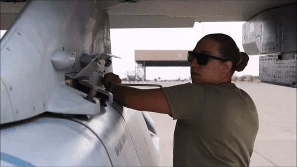 Ở giai đoạn cuối, tên lửa sẽ sử dụng thiết bị dò hồng ngoại để phát hiện chính xác một mục tiêu cụ thể trước khi lao vào tiêu diệt.