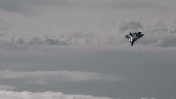 Các chuyên gia suy đoán rằng các ốc vít có thể là một phương pháp sửa chữa tạm thời được sử dụng trong giai đoạn tạo mẫu hoặc cho máy bay tiền sản xuất để tạo điều kiện cho các sửa đổi hoặc sửa chữa có thể xảy ra.