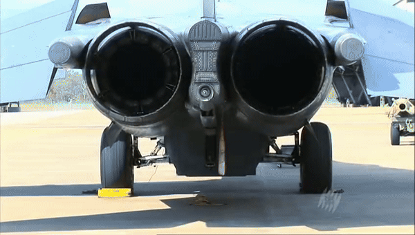 F-111 không có được khởi đầu thuận lợi khi được đưa vào sử dụng. Sau khi một phi đội gồm 6 chiếc F-111 được triển khai ở Việt Nam vào năm 1968, 3 trong số đó đã bị hư hỏng sau 55 lần gấp cánh do lỗi kỹ thuật. Không quân Mỹ buộc phải ngừng sử dụng F-111 và mất 100 triệu USD để sửa chữa.