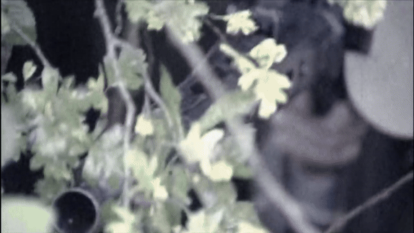 Trên thực tế, súng máy MG42 đã khiến hàng chục nghìn quân Đồng minh và lính Liên Xô chết hoặc bị thương nghiêm trọng.