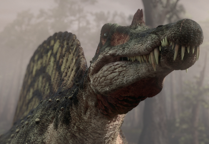 Ngoài cái diềm đặc trưng, khủng long Spinosaurus còn có một điểm độc đáo khác là hộp sọ rất giống sọ cá sấu.