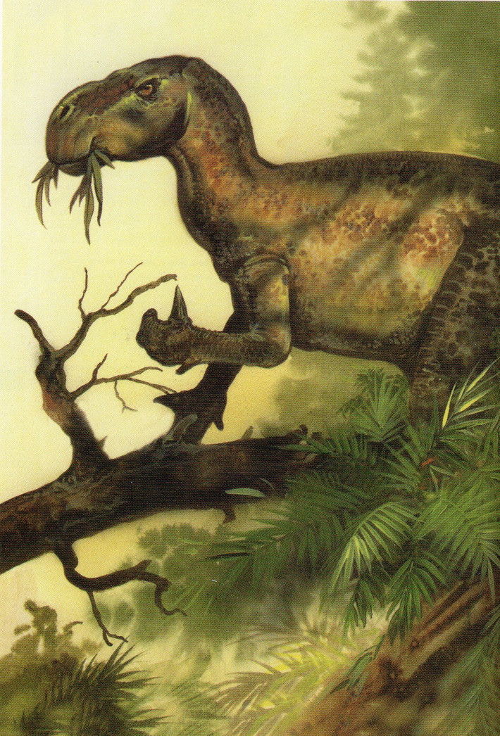 Đặc điểm nổi bật của Iguanodon là ngón cái ở chi trước rất nhọn, có thể là vũ khí để chống lại các loài khủng long săn mồi. Các ngón khác khá linh hoạt, có khả năng dùng để cầm nắm thực vật.