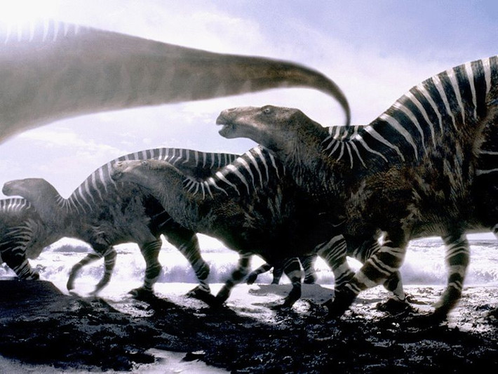 Iguanodon sống theo bầy để bảo vệ nhau. Chúng di chuyển nhiều và có thể là loài khủng long phổ biến nhất thế giới thời điểm chúng sống. Những mẫu hóa thạch Iguanodon đã được tìm thấy ở châu Phi, Bắc Mỹ, châu Âu, châu Á và cả Bắc Cực.