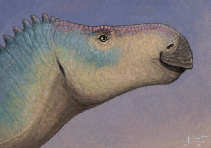 Khứu giác và vị giác của Iguanodon rất tốt, giúp chúng có khả năng đánh hơi kẻ săn nồi đang ẩn nấp hoặc phát hiện thức ăn ưa thích từ khoảng cách khá xa.