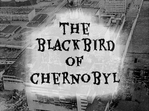 Có nhân chứng quả quyết rằng mình đã nhìn thấy Chim đen Chernobyl đứng trên một trong những lò phản ứng khi chúng đang tan chảy. Và con vật này có thể là nguyên nhân gây ra vụ nổ.