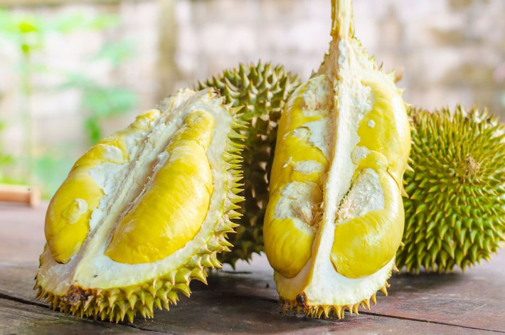 "Thịt và nước ngọt của nó được chứa trong mười hay mười hai ngăn nhỏ, mỗi ngăn có nhiều múi thịt trắng bọc quanh hột, to bằng hạt dẻ lớn nhất của ta...".