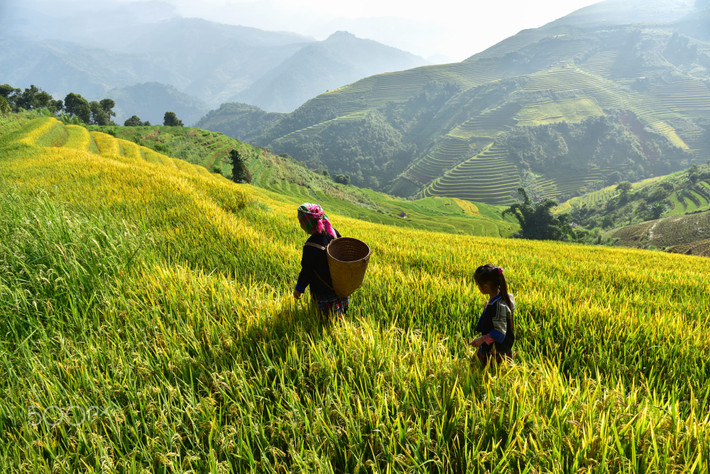 Hai mẹ con người H'Mông ra đồng buổi sớm. Ảnh: Sirisak Baokaew / 500px.com.