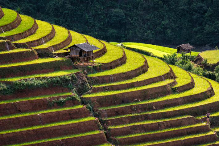 Cuộc sống bình yên trên thửa ruộng bậc thang. Ảnh: Dale Johnson / 500px.com.