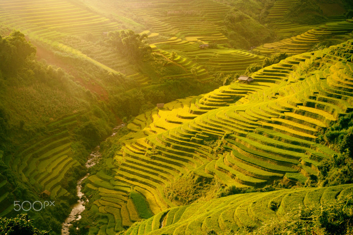 Buổi bình minh rực rỡ. Ảnh: Sutipond Somnam / 500px.com.