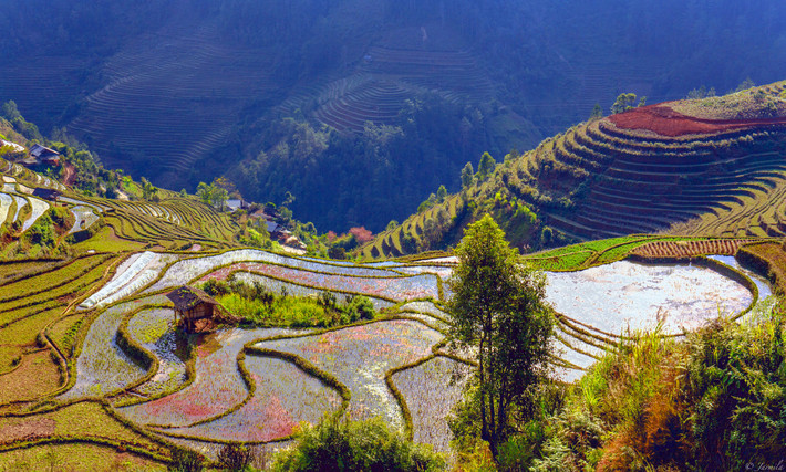 Sắc màu của sự sống. Ảnh: Jarmila / 500px.com.