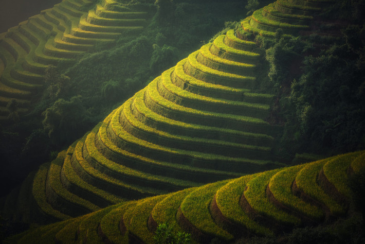 Sắc màu huyền bí của những bậc thang khổng lồ trên núi đồi. Ảnh: Sasin Tipchai / 500px.com.