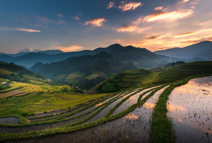 Ruộng bậc thang mùa nước đổ. Ảnh: Nutthavood Punpeng / 500px.com.