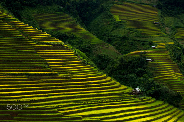Trên một triền dốc. Ảnh: Bill Vorasate / 500px.com.