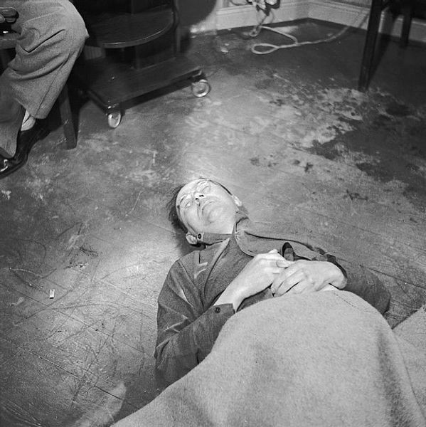Dù đã gây ra vô số cái chết đau đớn cho người khác, cái chết của bản thân Heinrich Himmler lại diễn ra khá êm ái. Sau khi bị bắt giữ và chờ xét xử, ông ta đã tự sát bằng cách nuốt một viên thuốc độc chứa xyanua ngày 23/5/1945.
