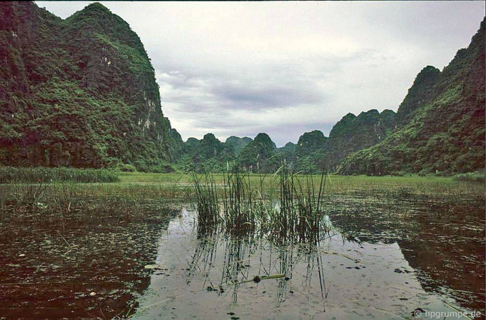 Cảnh tượng thiên nhiên hoang sơ ở Tam Cốc - Bích Động.