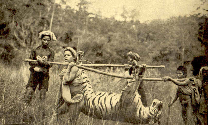 Chiến lợi phẩm trong một chuyến đi săn của thợ săn người Pháp Fernand Millet.