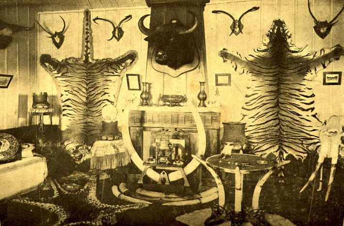 Phòng trưng bày chiến lợi phẩm của Fernand Millet.