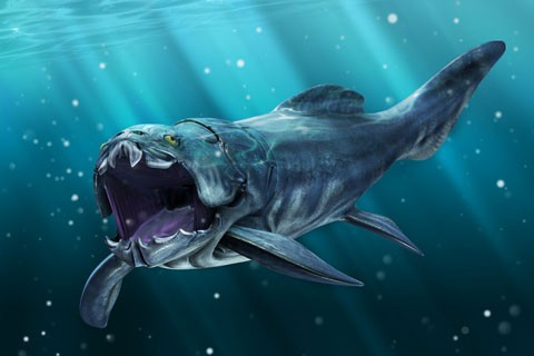 5. Cá bọc thép. Dunkleosteus là con cá lớn nhất trong thời tiền sử. Đầu và ngực của nó được bao phủ bởi các tấm xương như bọc thép. Thay vì răng, những con cá này sở hữu hai bản xương sắc bén, hình thành một cấu trúc như mỏ chim.