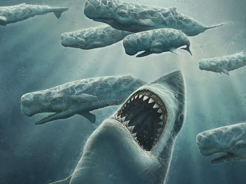 1. Megaladon. Ngày nay, cá mập trắng lớn nhất thường chỉ dài 6 mét và nặng 2.275 kg.Tuy nhiên, trong quá khứ đã từng có một loài cá mập lớn gấp nhiều lần cá mập trắng thời hiện đại. Chúng vẫn luôn là động vật sát thủ của đại dương khiến nhiều sinh vật khác bỏ chạy.