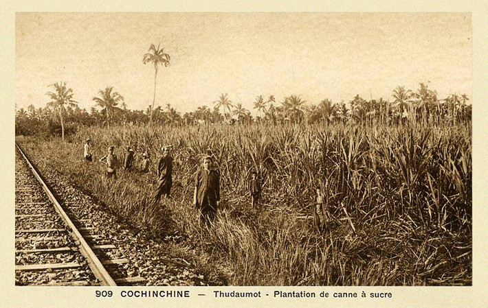 Đồn điền mía và đường sắt ở tỉnh Thủ Dầu Một năm 1946. Ảnh tư liệu.