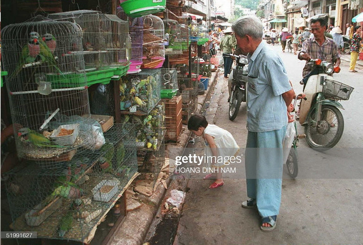 Hai ông cháu xem các loại chim cảnh khác nhau được bày bán ở chợ chim Hàng Da, Hà Nội ngày 14/9/1995. Đầu thập niên 1990, thú chơi chim đã quay lại với người Hà Nội sau nhiều thập niên chiến tranh và kinh tế khó khăn.