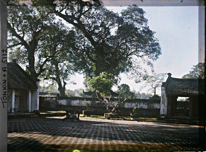 Trong sân của khu Đại Thành.